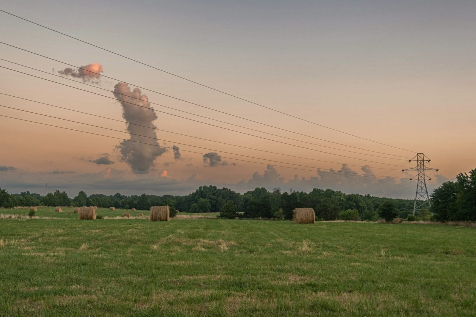 Round hay bales in a mown field at dusk with power lines overhead